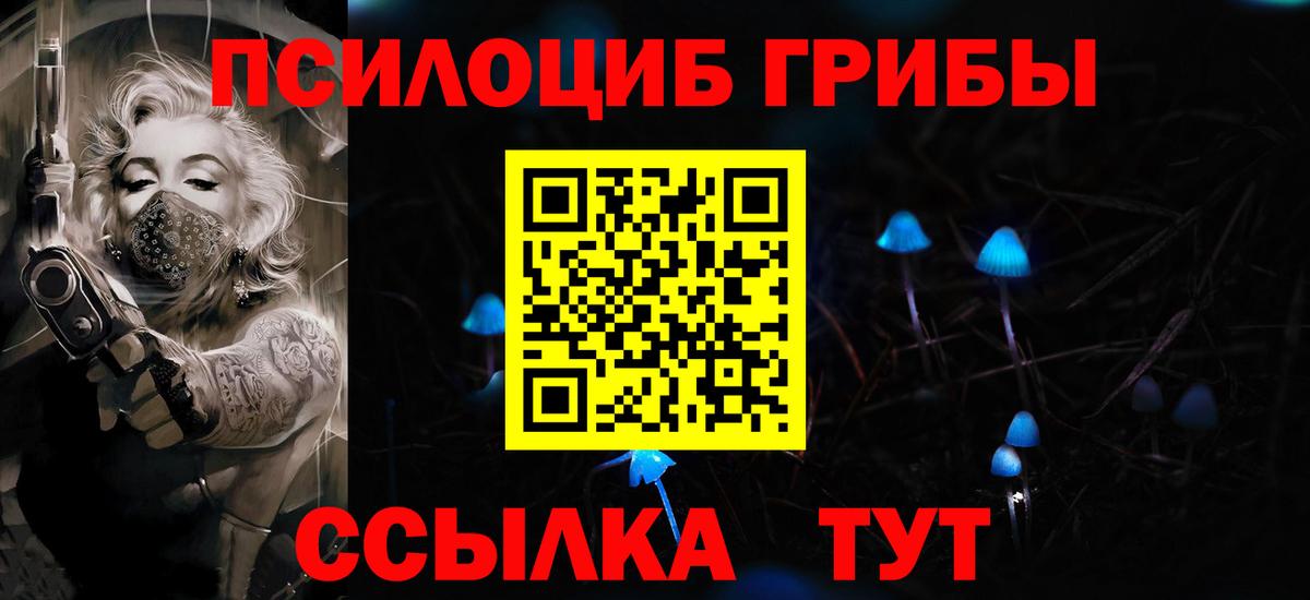 Галлюциногенные грибы GOLDEN TEACHER Саки